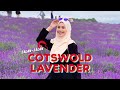 Jalan-jalan Broadway Tower & Cotswold Lavender