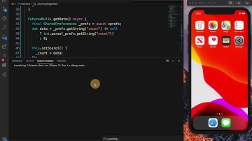 Shared Preferences Flutter Counter