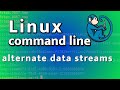Manage NTFS Alternate Data Streams on Linux