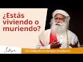 ¿Estás muriendo o estás viviendo? | Sadhguru