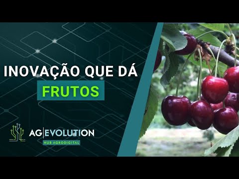 Inovação que dá frutos | Boletim AgEvolution