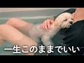 愛犬とのお風呂が想像以上でした…