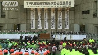 JA全中「重要5項目守るよう」訴え　TPP閣僚会合前に(13/12/03)