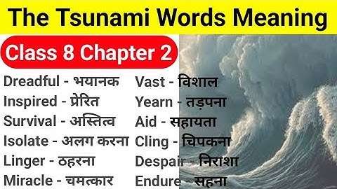 The Tsunami Class 8 word meaning | Class 8 english chapter 2 word meaning | Class 8 english