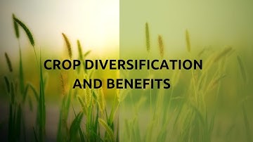 Crop diversification and it