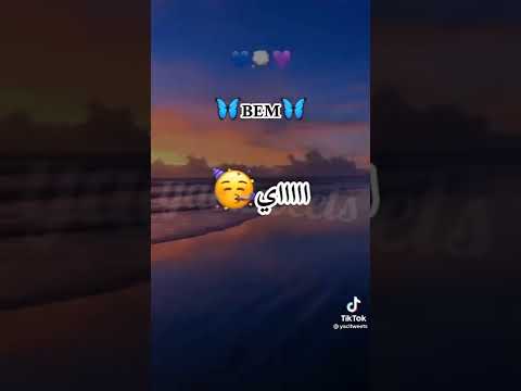 طريڨ ليسي ويا دلالي