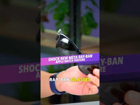 Meta Ray-Ban Glasses