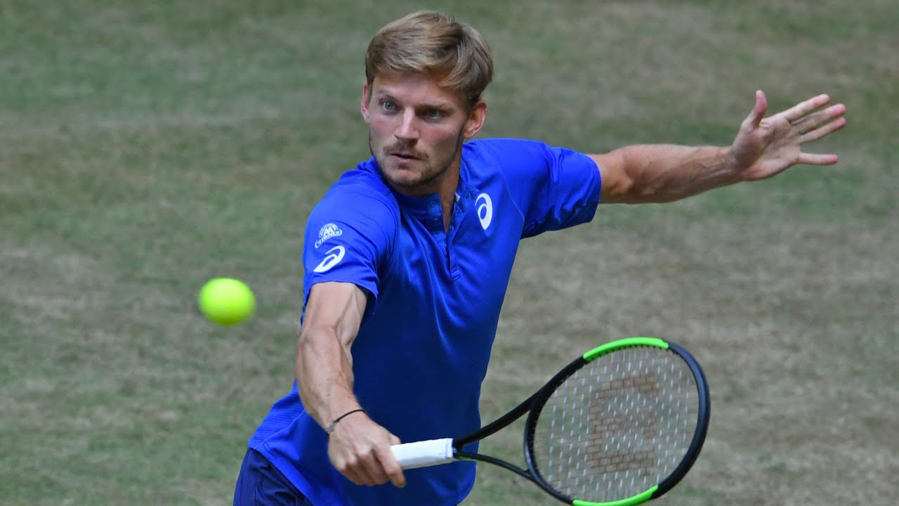 Beautiful David Goffin Shots and Match Point v Berrettini Halle 2019