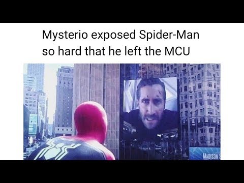 spiderman-leaves-the-mcu-memes