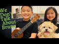 Encanto - We Don’t Talk About Bruno - Ukulele Cover - brother and sister and Shih Tzu