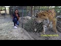 Outtakes: Reporter scared by playful tiger