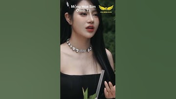 Cả Bầu Trời Thương Nhớ Bay về #nhachaymoingay #video #nhachay #shorts #thinhhanh