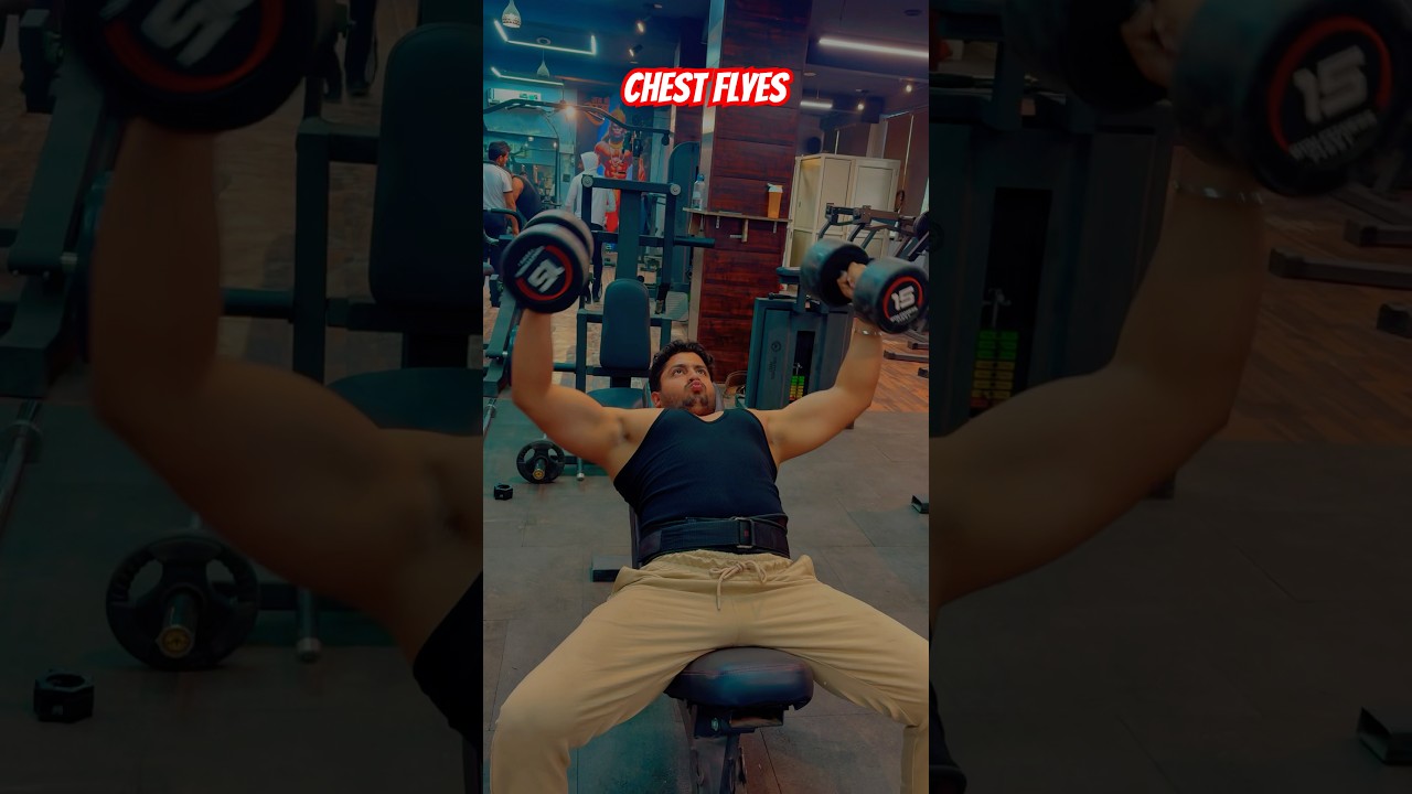 Chest flies 