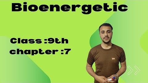Bioenergetic/ Introduction to Bioenergetic in urdu / Hindi | Class 9th| chapter 7