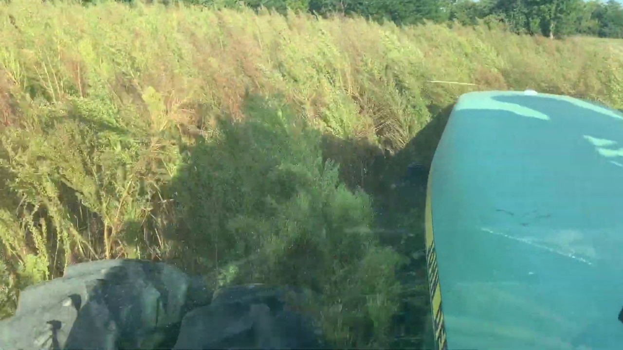 Disking weeds as tall as the tractor