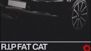 Thato Saul - R.I.P Fat Cat