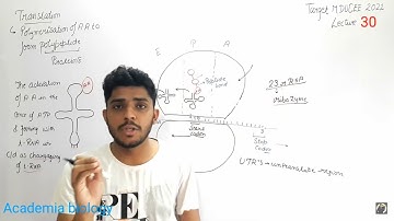 Translation #mducee2023 #mducee | Target MDUCEE-2021| lecture-30 Maharshi Dayanand University