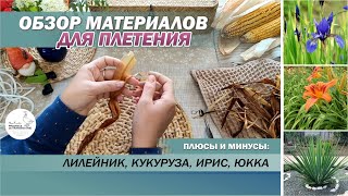 видео: Сравнение материалов для плетения: лилейник, кукуруза, юкка и ирис. Плетение из природных материалов картинка: Сравнение материалов для плетения: лилейник, кукуруза, юкка и ирис. Плетение из природных материалов