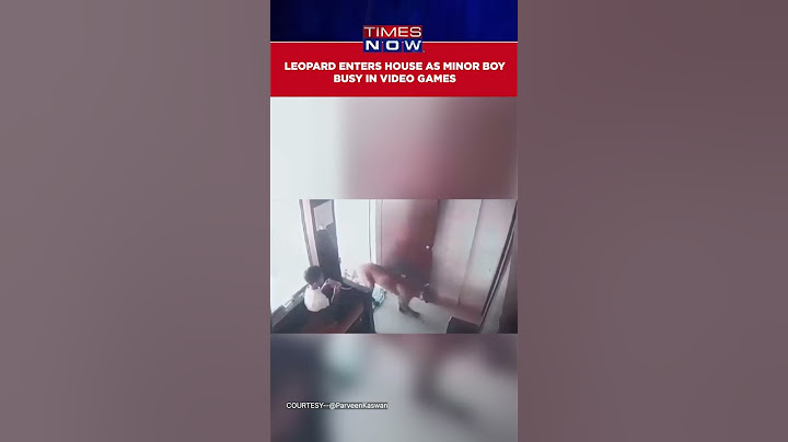 Viral Video Shows Leopard Suddenly Entering House As Minor Boy Busy In Playing Video Games #shorts