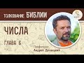 Числа. Глава 6. Андрей Десницкий. Библия