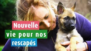 Une nouvelle vie pour nos rescapés