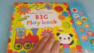 baby's very first big play book