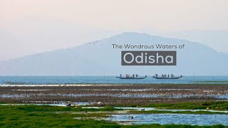 The Wondrous Waters Of Odisha
