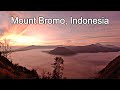 Mount bromo  one day tour