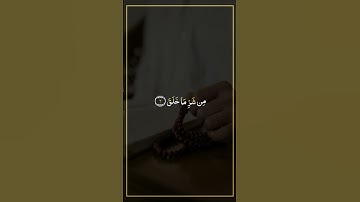 سورة الفلق بصوت القارئ محمد صديق المنشاوي 🫀🎧 (أذكار الصباح)