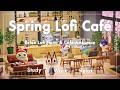 【あつ森BGM 3時間】Relax Lofi Café☕🌸|春の桜が咲くネコとコーヒーのくつろぎカフェ|勉強用・作業用・リラックス用BGM|どうぶつの森の環境音・話し声