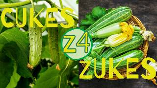 How to Grow Cucumbers and Zucchini from Seed in Zone 4 (Don't Make These Timing Mistakes)