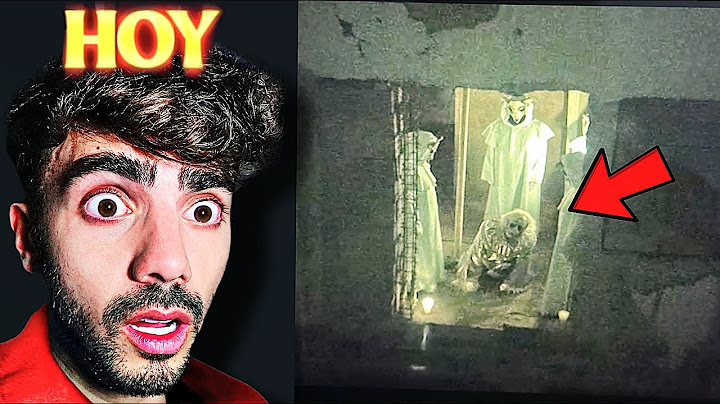 🔴 FEDE VIGEVANI EL FIN DE DINDON En VIVO 😱😭😭