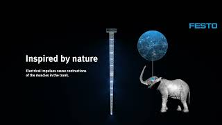Festo | Bionic E-Trunk