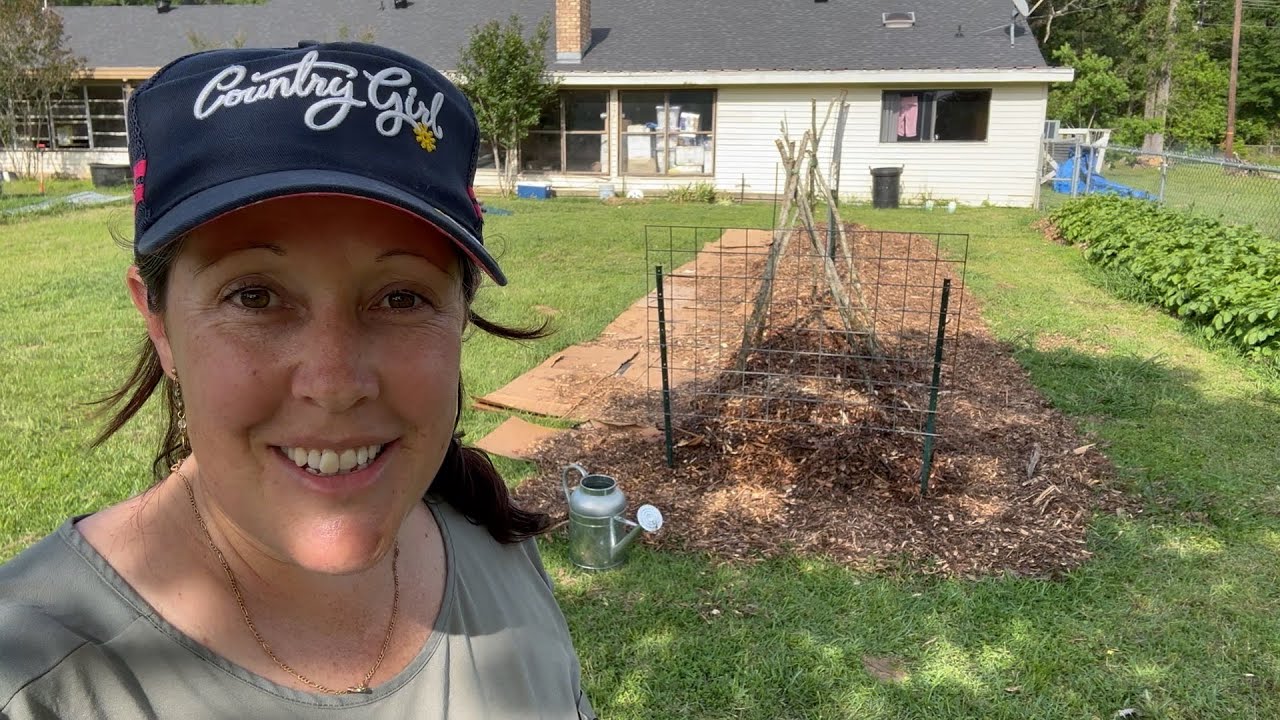Budget friendly cucumber frames, and can I find an Aussie pumpkin