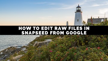 How To Edit Raw Files In Snapseed From Google