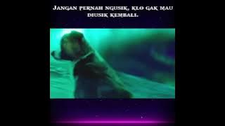 jangan pernah mengusik .. kalo gak mau di usik... #storywa #pesanmoral #wes_ajur #anjing