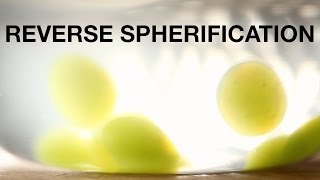 Demonstration of Reverse Spherification