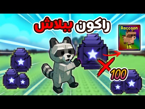 ماب    شرح كيف تحصل الراكون ببلاش وفتحت  بيضة شوفو شو جاني