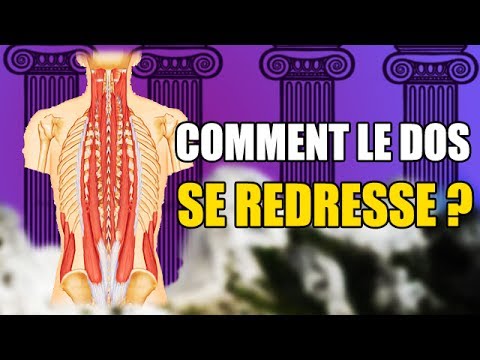 Vidéo: L'érecteur de la colonne vertébrale est-il un muscle ?