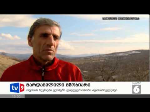 ახალი 6 | გარდაცვლილი მშობიარე | 01.02.13