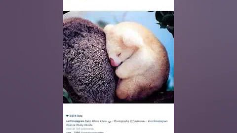 Instagram LOL