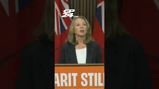 ‘Flippant abuse of taxpayers’ dollars’: Stiles demands answers about MPP hotel write-offs