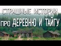 СТРАШНЫЕ ИСТОРИИ НА НОЧЬ / СТРАШНЫЕ ИСТОРИИ ПРО ДЕРЕВНЮ / СТРАШНЫЕ ИСТОРИИ ПРО ВЕДЬМ / ЛЕС