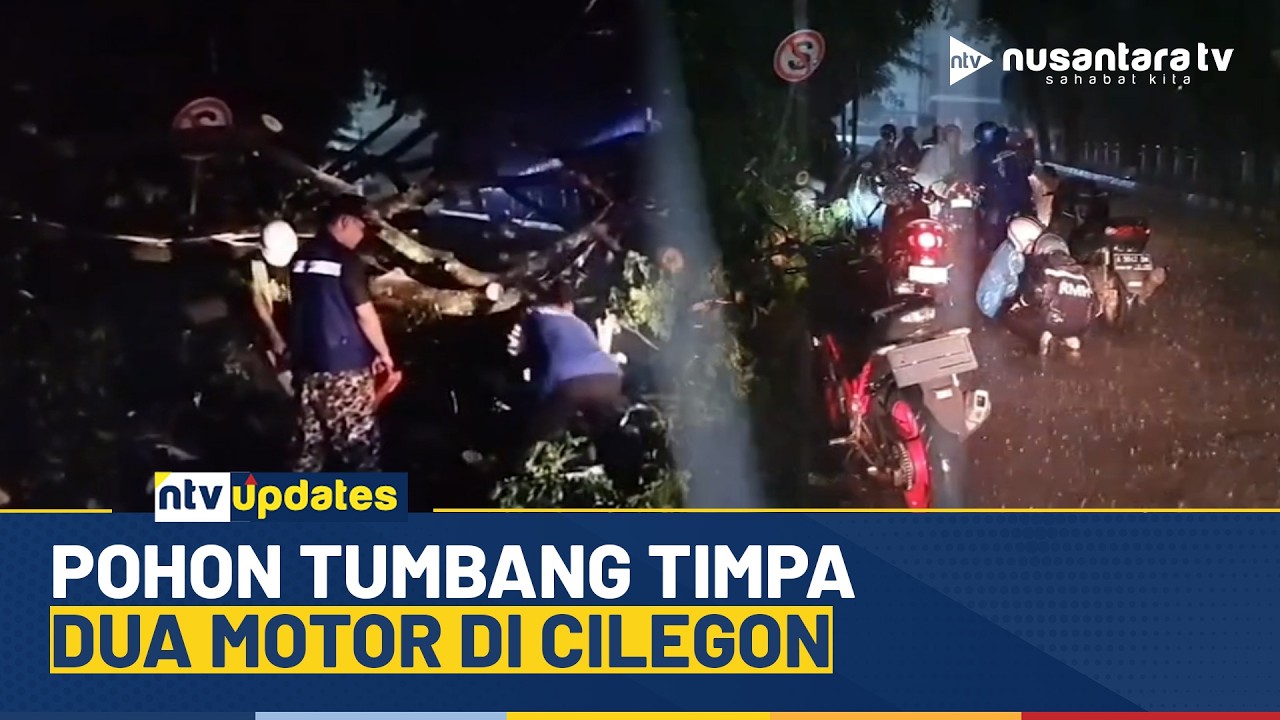 Dua Pengendara Motor di Cilegon Tertimpa Pohon Saat Hujan Deras | NTV UPDATES