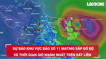 Dự báo khu vực bão số 11 Matmo sắp đổ bộ và thời gian gió mạnh nhất trên đất liền | Báo Lao Động