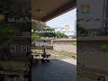 درخت کو چائنیز میں “树 (Shù)” کہتے ہیں 🌳 اردو میں: درخت | مزید سیکھنے کے لیے ویڈیو دیکھیں 🇨🇳✨