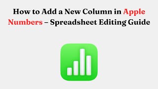 How to Add a New Column in Apple Numbers – Spreadsheet Editing Guide