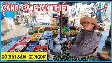 Hải Sản Gì Trong Mẻ Lưới Ngư Dân Cảng Cá Phan Thiết Trong Ngày Cuối Tuần
