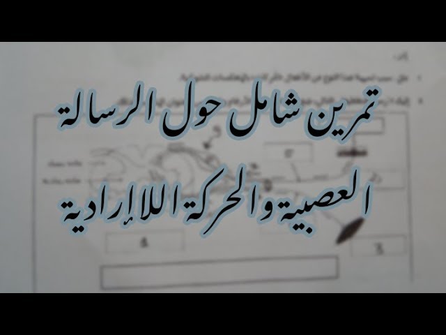 تمارين العلوم 04 متوسط