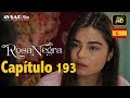 Rosa Negra - Capítulo 193 (HD) En Español